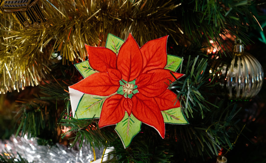 Completed Christmas card design
