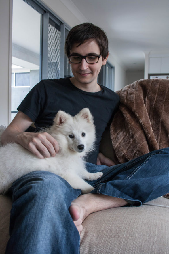 A year with Lucy, the Japanese Spitz - first day home